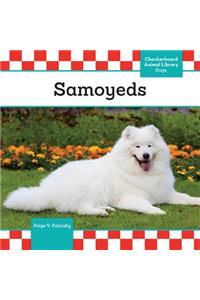 Samoyeds