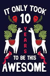 It only Took 10 Years To Be This Awesome