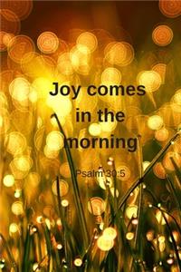 Joy comes in the morning - Psalm 30