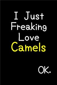 I Just Freaking Love Camels Ok.