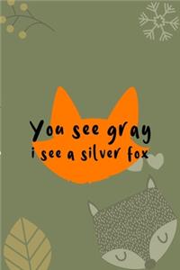 You See Gray I See A Silver Fox