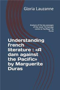 Understanding french literature