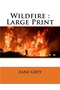 Wildfire