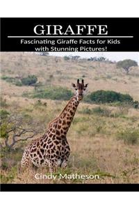 Giraffe: Fascinating Giraffe Facts for Kids with Stunning Pictures!