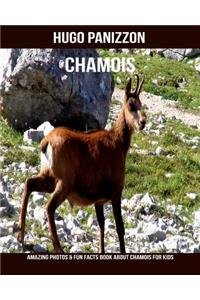 Chamois: Amazing Photos & Fun Facts Book about Chamois for Kids