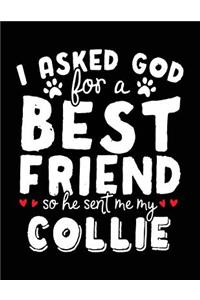I Asked God For A Best Friend So He Sent Me My Collie