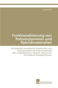 Funktionalisierung von Polyvinylaminen und Hybridmaterialien