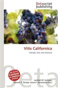 Vitis Californica