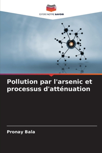 Pollution par l'arsenic et processus d'atténuation