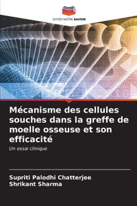 Mécanisme des cellules souches dans la greffe de moelle osseuse et son efficacité