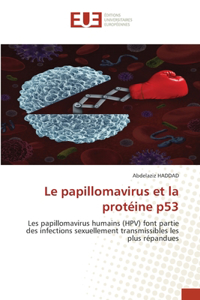 Le papillomavirus et la protéine p53