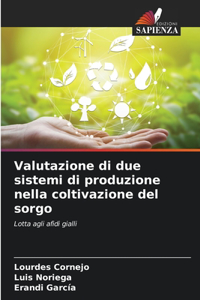 Valutazione di due sistemi di produzione nella coltivazione del sorgo