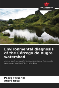 Environmental diagnosis of the Córrego do Bugre watershed
