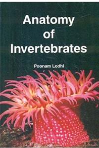 Anatomy Of Invertebrates