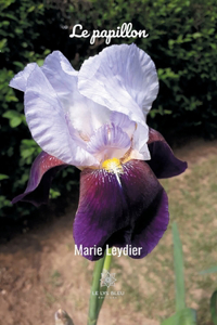 Le papillon