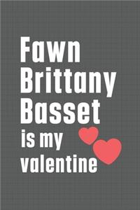 Fawn Brittany Basset is my valentine