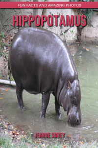 Hippopotamus
