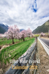 Color Your World Calendar 2021