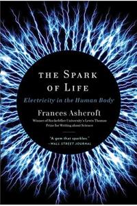 The Spark of Life
