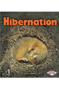 Hibernation