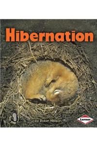 Hibernation