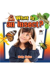 What Is an Insect?