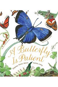 Butterfly Is Patient