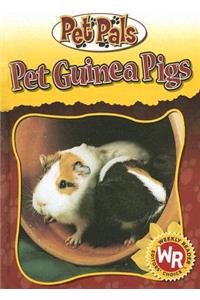 Pet Guinea Pigs