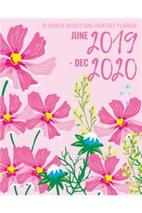 2019-2020 June 2019 - December 2020