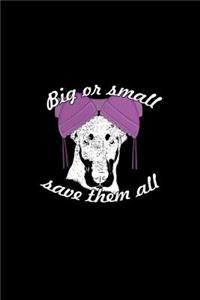Big or Small, save them All
