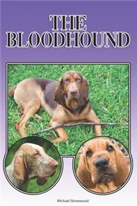 Bloodhound