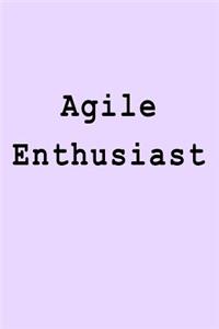 Agile Enthusiast