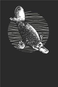 Platypus Drawing