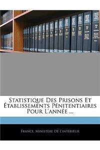 Statistique Des Prisons Et Etablissements Penitentiaires Pour L'Annee ...