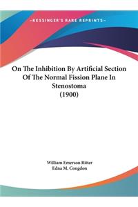 On the Inhibition by Artificial Section of the Normal Fission Plane in Stenostoma (1900)