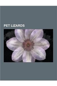 Pet Lizards: Agama Mwanzae, Amphibolurus Muricatus, Argentine Black and White Tegu, Armadillo Girdled Lizard, Beaked Gecko, Black-H