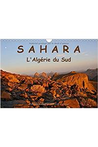 Le Sahara l'Algerie du Sud 2017