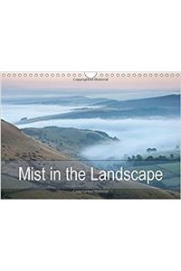 Mist in the Landscape 2017