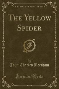 The Yellow Spider (Classic Reprint)