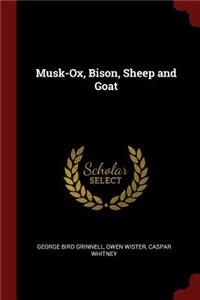 Musk-Ox, Bison, Sheep and Goat