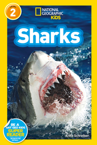 National Geographic Kids Readers: Sharks