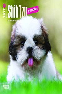 Shih Tzu Puppies 2017 Calendar