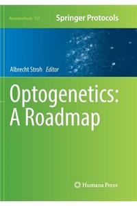 Optogenetics: A Roadmap