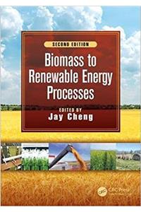 Biomass to Renewable Energy Processes