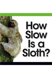 How Slow Is a Sloth?
