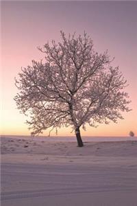 Frost Tree in Winter Journal