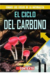 El Ciclo del Carbono (the Carbon Cycle)