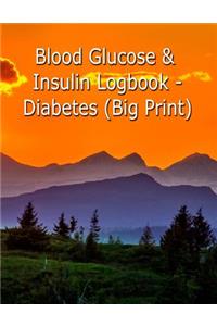 Blood Glucose & Insulin Logbook- Diabetes (Big Print)