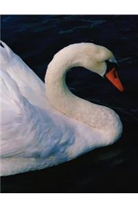 Swan Blank Sketchbook