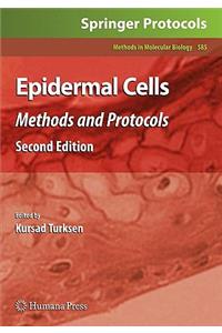 Epidermal Cells